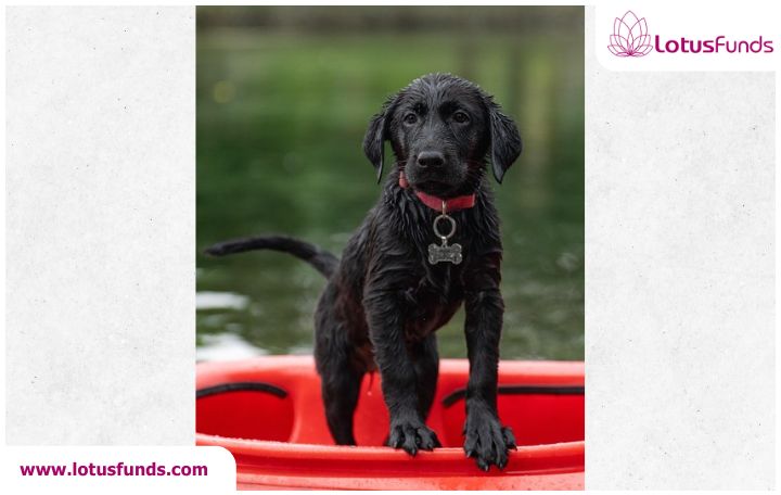 We will now spy with one big eye if the average effective tariff rate for India eventually gets settled around 15-18%